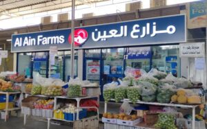 Boost Your Brand with Custom Outdoor Signage in the UAE