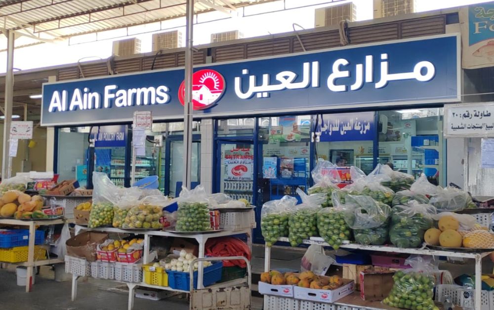 Tips for Choosing the Right Outdoor LED Screen Supplier