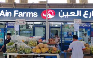 How Outdoor LED Screen Supplier in Dubai Helps Events & Exhibitions