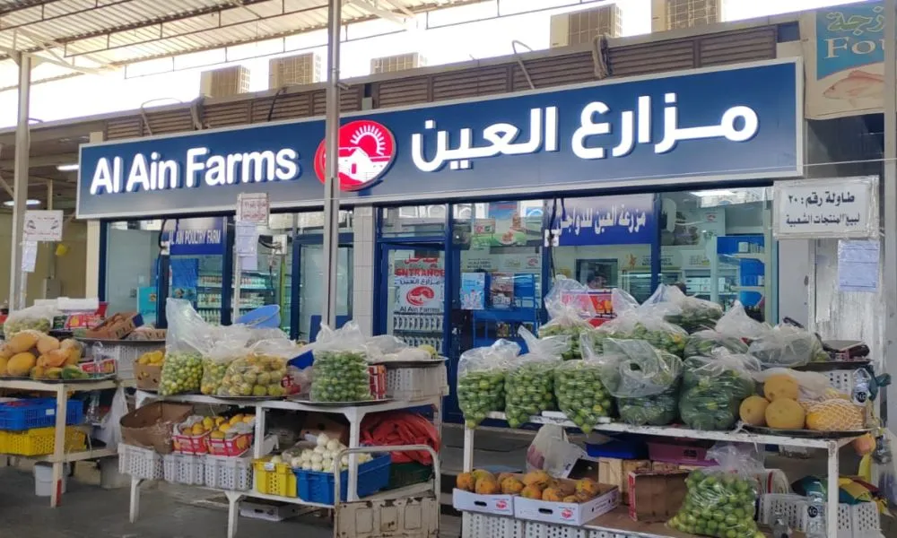 Understanding the Unique UAE Market