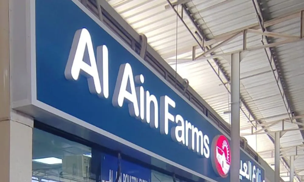 Long-Term Value Over Initial Cost