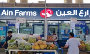 What Makes the Best LED Screen Suppliers Stand Out in the UAE