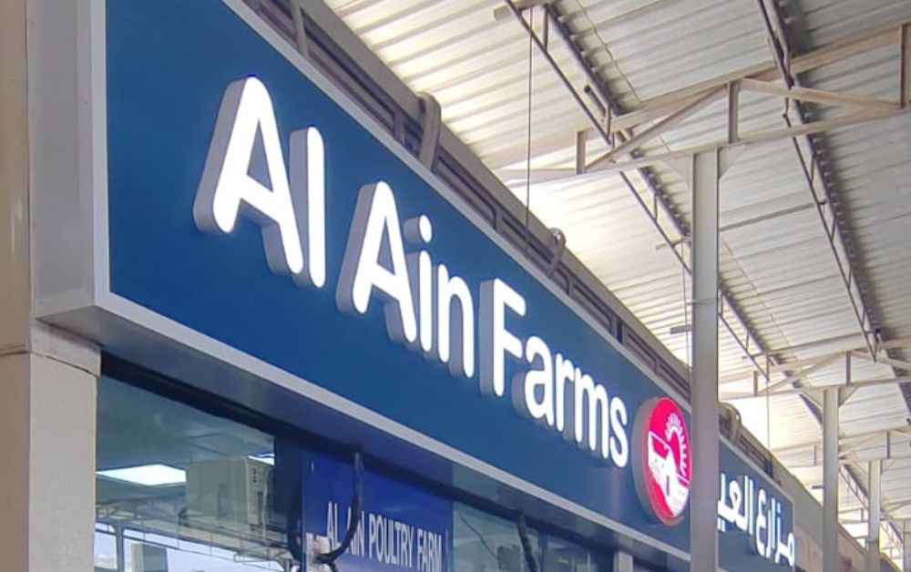 Strong Visibility, Day and Night