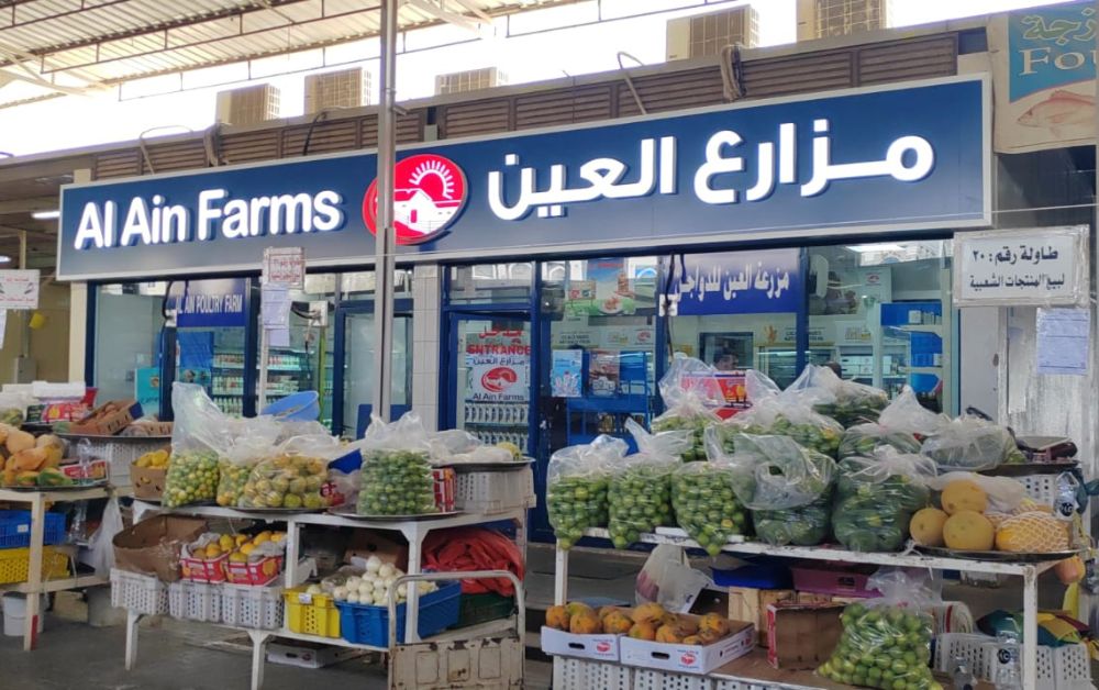 Ideal for Dubai’s Modern Aesthetic