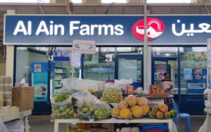 Why LED Signboards Are the Most Popular Choice in Dubai