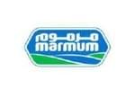 logo31