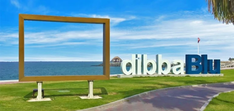 DibbaBlu|Fujairah 3D sign board signage manufacturers in dubai